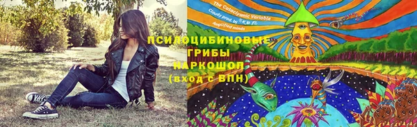 герыч Вяземский