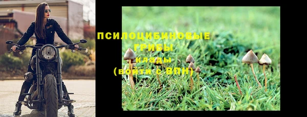 герыч Вяземский