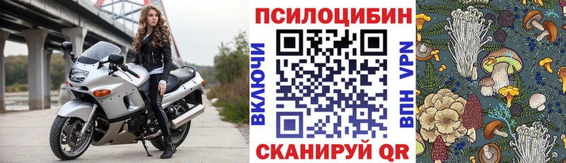 Псилоцибиновые грибы мухоморы  Купить где  Аркадак 