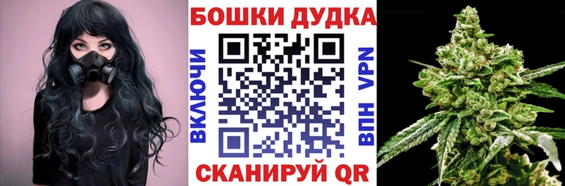 Конопля индика  Купить закладки  Аркадак 